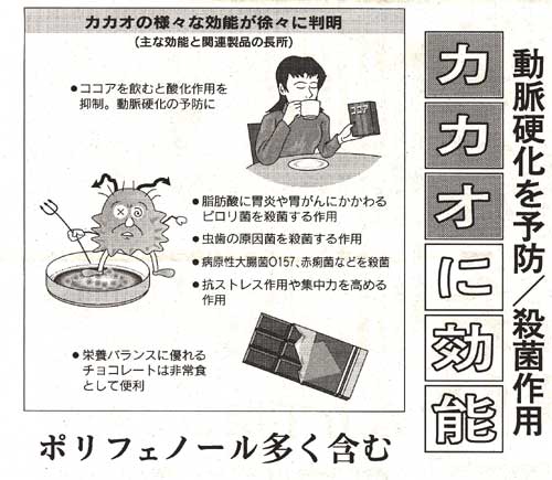 chocolate-cocoa.com